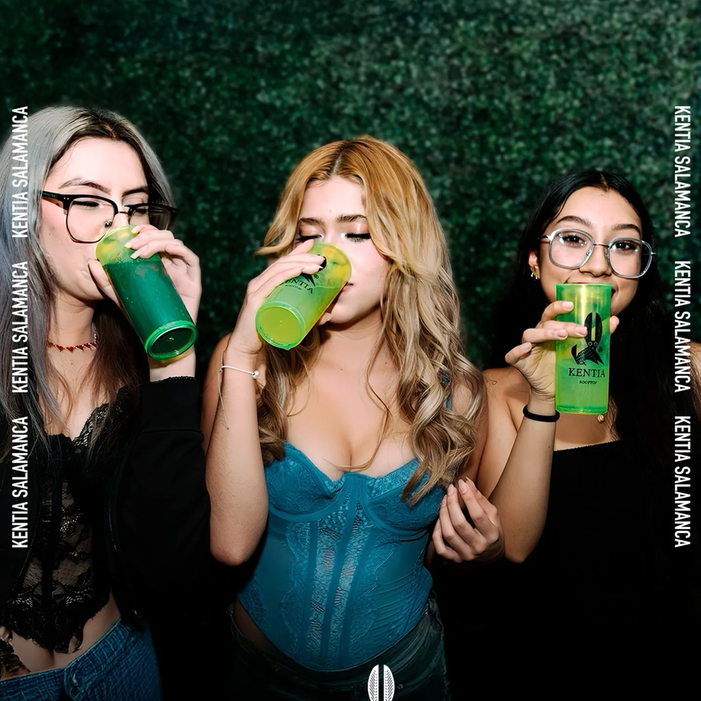 Kentia Bar Gallery 4