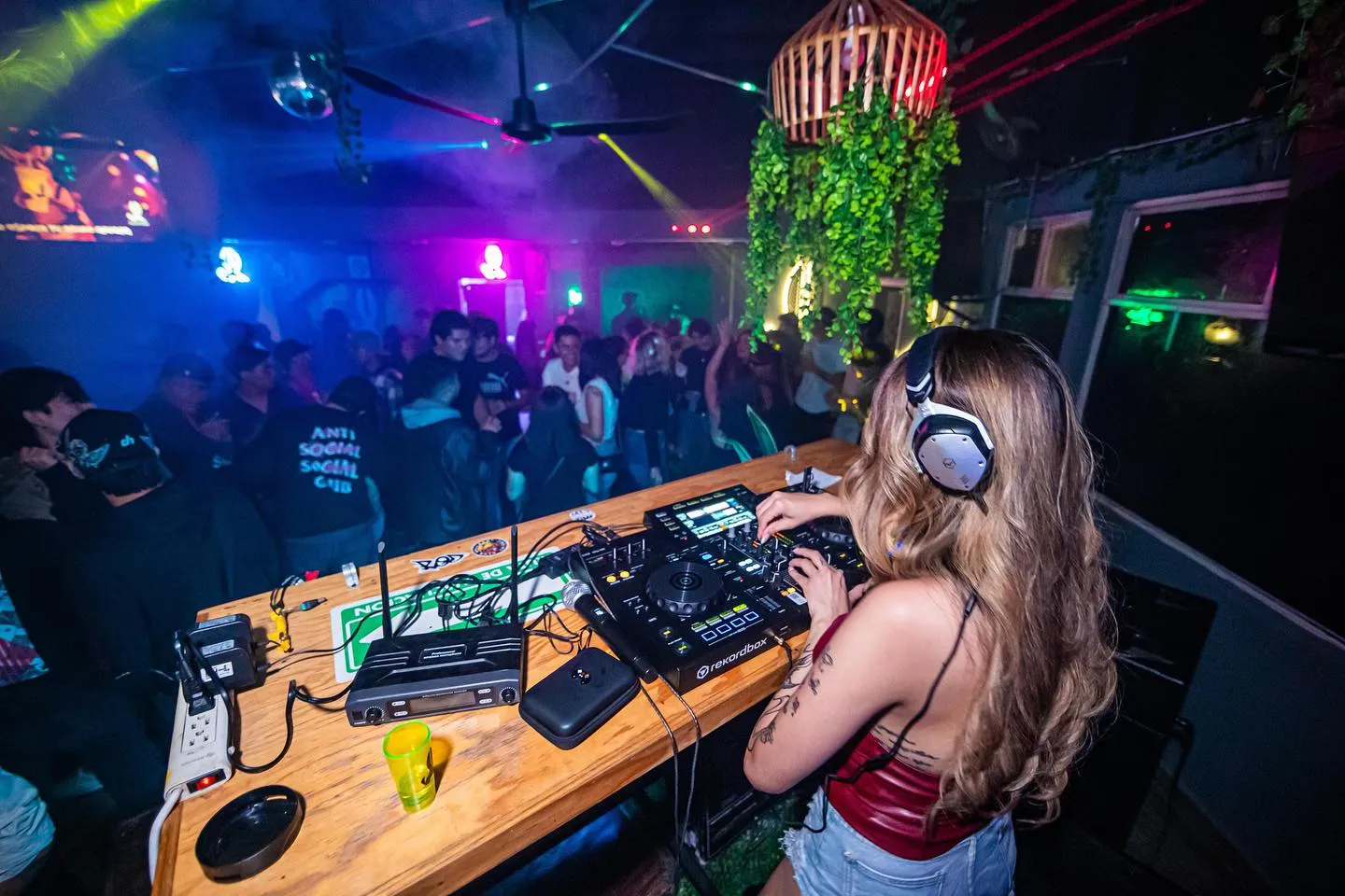 Kentia Bar Gallery 2