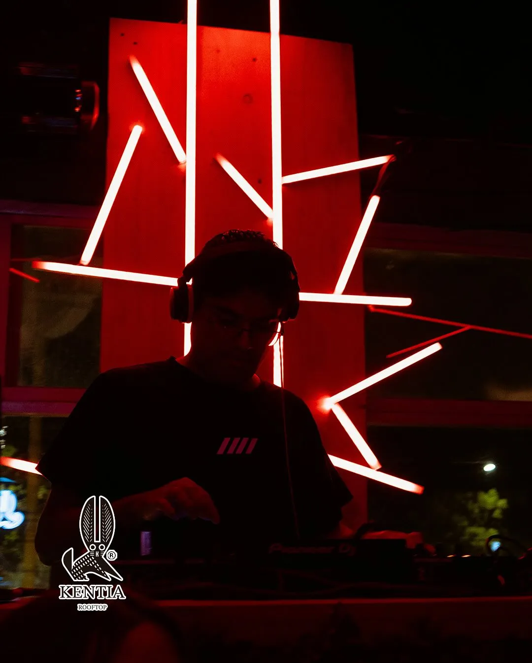 Kentia Bar ambiente 8